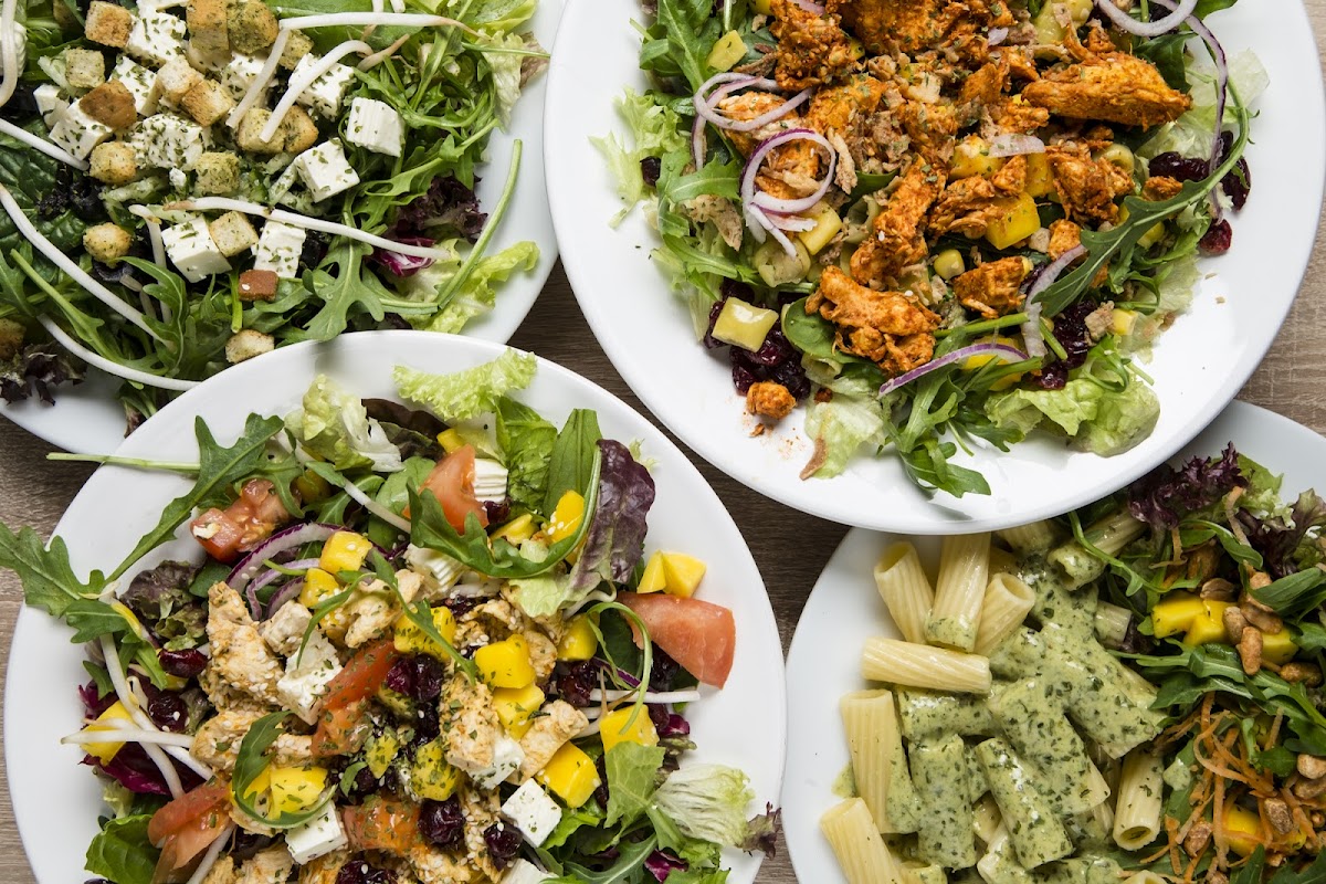 Mundvoll Innsbruck Photos 2